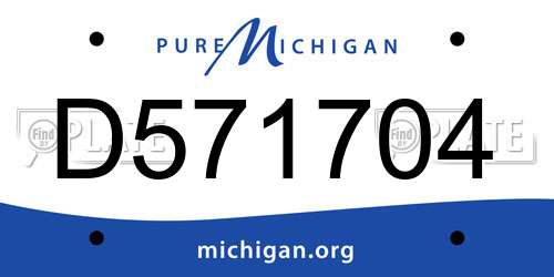 D571704 Michigan License Plate