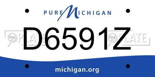 D6591Z Michigan License Plate