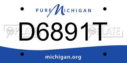 D6891T Michigan License Plate