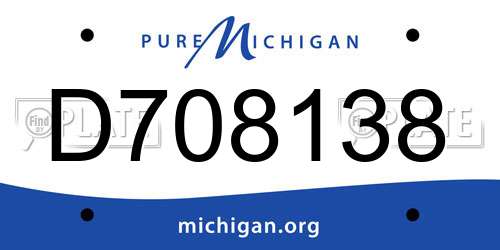 D708138 Michigan License Plate