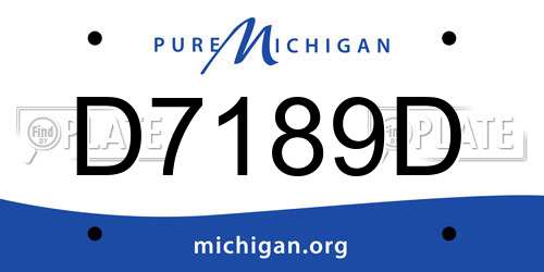 D7189D Michigan License Plate