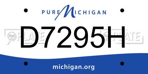 D7295H Michigan License Plate