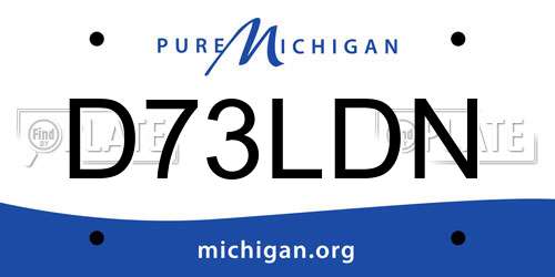 D73LDN Michigan License Plate