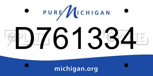 D761334 Michigan License Plate