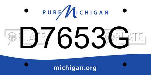 D7653G Michigan License Plate