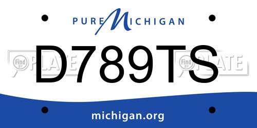D789TS Michigan License Plate
