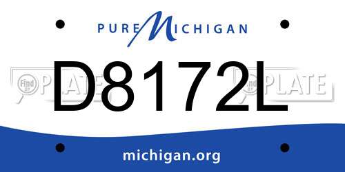 D8172L Michigan License Plate