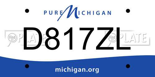 D817ZL Michigan License Plate