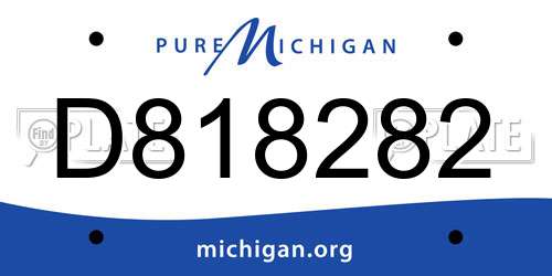 D818282 Michigan License Plate