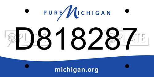 D818287 Michigan License Plate
