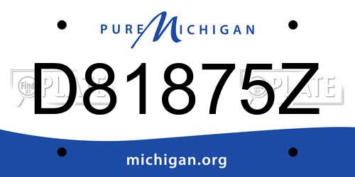 D81875Z Michigan License Plate