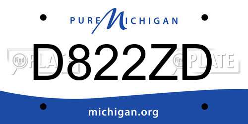 D822ZD Michigan License Plate