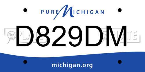 D829DM Michigan License Plate