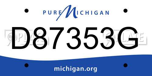 D87353G Michigan License Plate