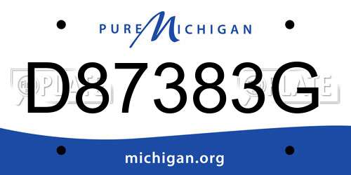 D87383G Michigan License Plate