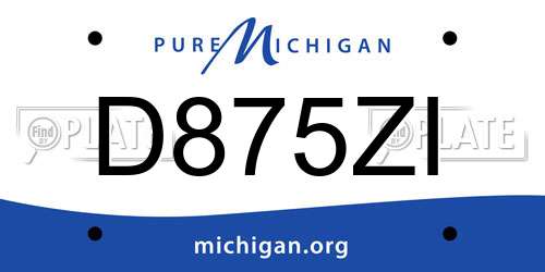 D875ZI Michigan License Plate