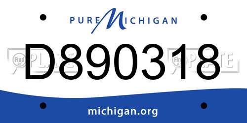 D890318 Michigan License Plate