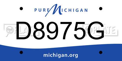 D8975G Michigan License Plate