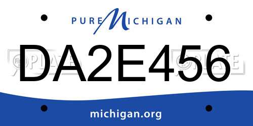 DA2E456 Michigan License Plate