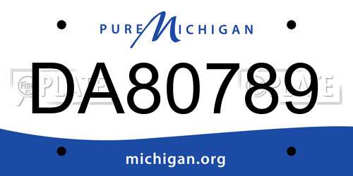 DA80789 Michigan License Plate