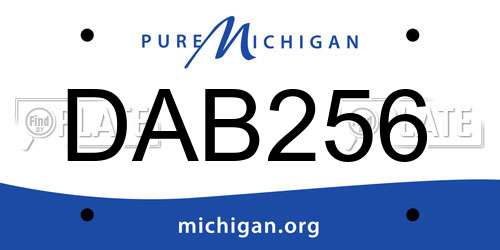 DAB256 Michigan License Plate