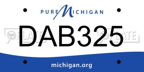 DAB325 Michigan License Plate