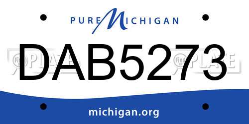 DAB5273 Michigan License Plate