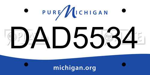 DAD5534 Michigan License Plate