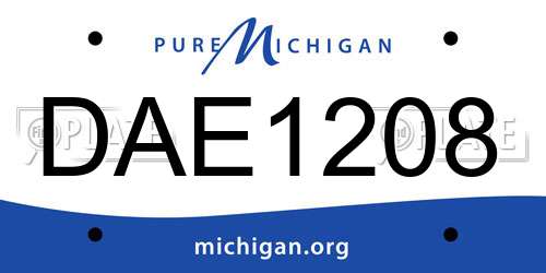 DAE1208 Michigan License Plate