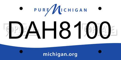 DAH8100 Michigan License Plate