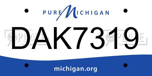 DAK7319 Michigan License Plate