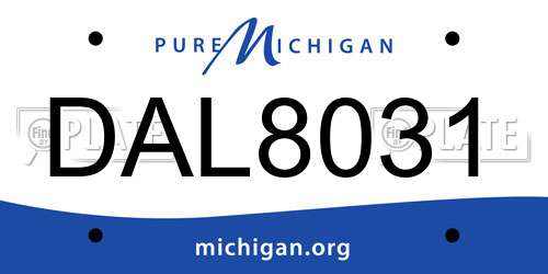 DAL8031 Michigan License Plate