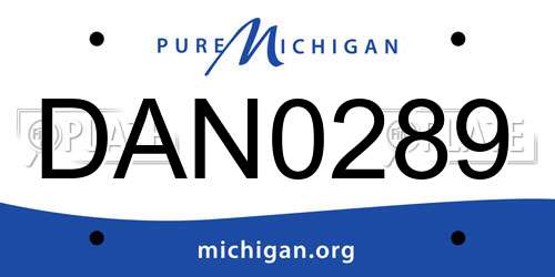 DAN0289 Michigan License Plate