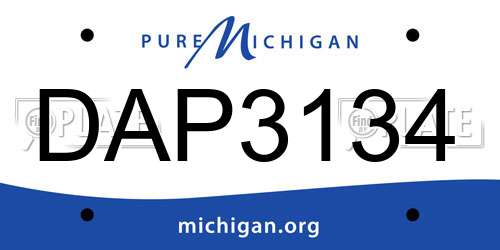 DAP3134 Michigan License Plate