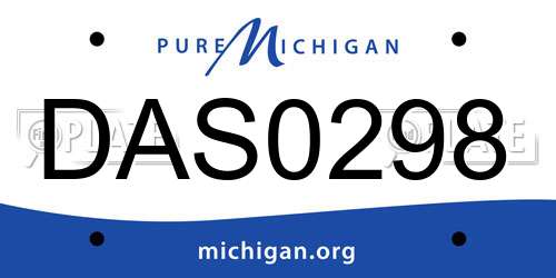 DAS0298 Michigan License Plate