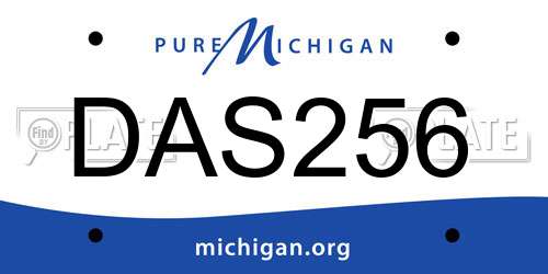 DAS256 Michigan License Plate