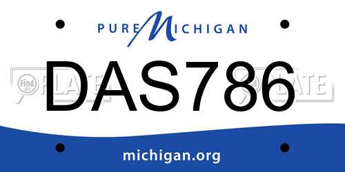 DAS786 Michigan License Plate