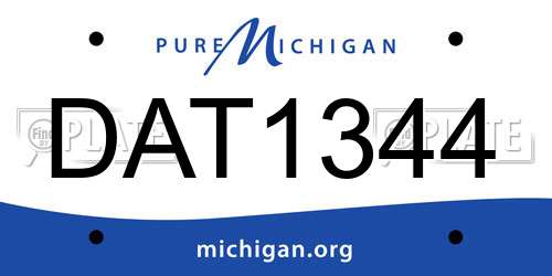 DAT1344 Michigan License Plate