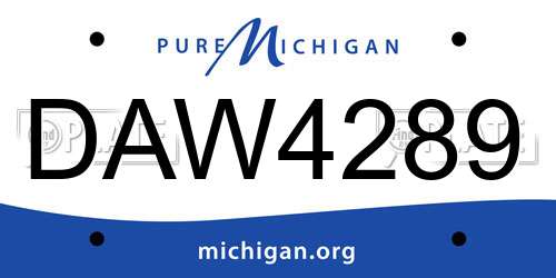 DAW4289 Michigan License Plate