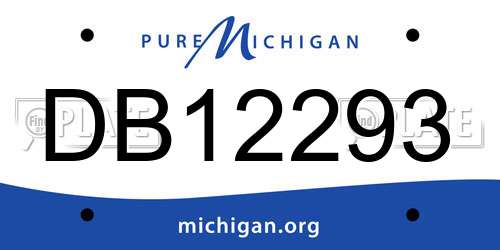 DB12293 Michigan License Plate