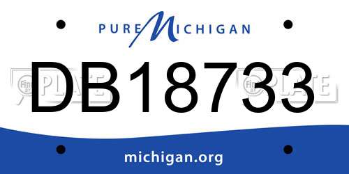 DB18733 Michigan License Plate