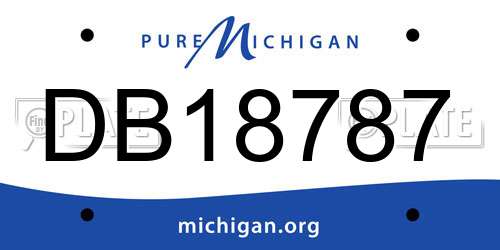 DB18787 Michigan License Plate
