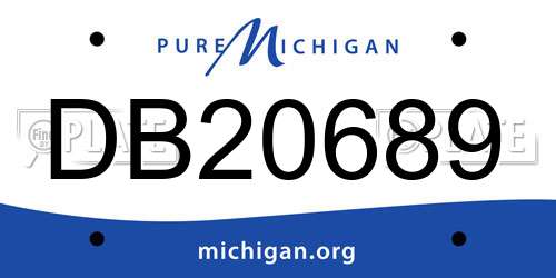 DB20689 Michigan License Plate