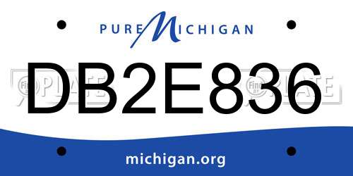 DB2E836 Michigan License Plate