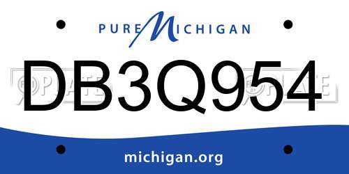 DB3Q954 Michigan License Plate