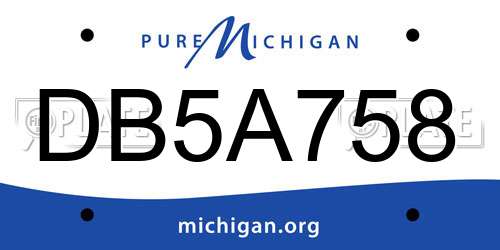 DB5A758 Michigan License Plate