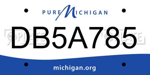 DB5A785 Michigan License Plate