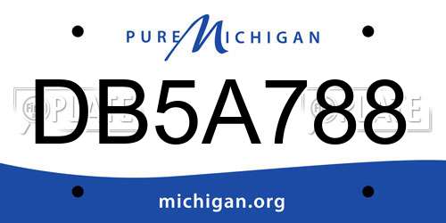 DB5A788 Michigan License Plate