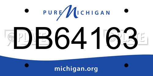 DB64163 Michigan License Plate