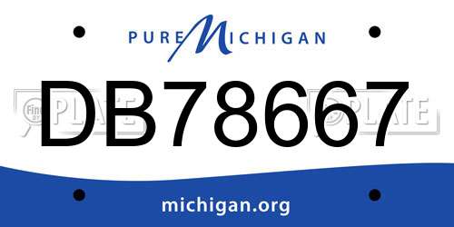 DB78667 Michigan License Plate